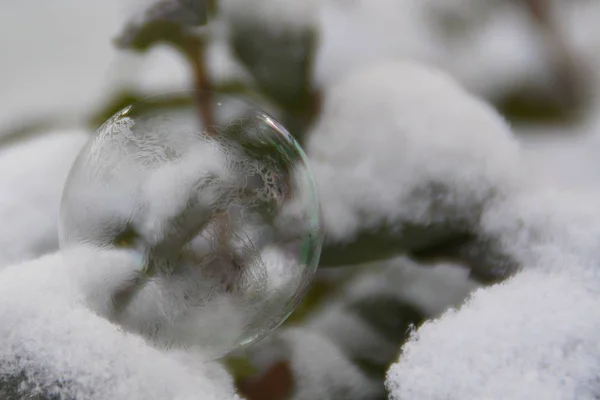 冬の凍ったシャボン玉 — ストック写真