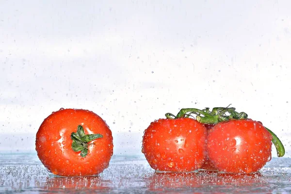 Tomaten Wasserspritzer — Stockfoto