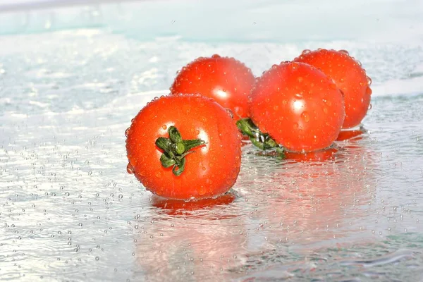 Rajčata Stříkající Vodě — Stock fotografie