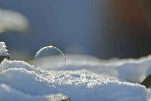 在冬天的冰冻的肥皂泡沫 — 图库照片