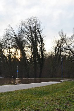 güneşli ormana yolu