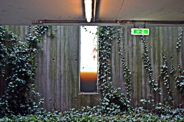 Zaplavené Okno Podzemního Parkoviště — Stock fotografie