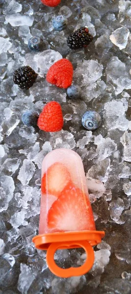Hausgemachtes Beereneis Mit Fruchtstücken Auf Eiswürfeln — Stockfoto