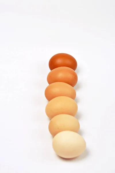 Ovos Com Diferentes Marrons Fundo Branco — Fotografia de Stock