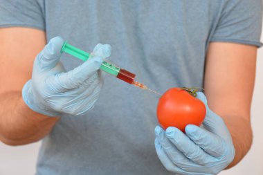 domates içine kırmızı sıvı enjekte