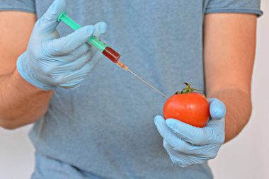 domates içine kırmızı sıvı enjekte