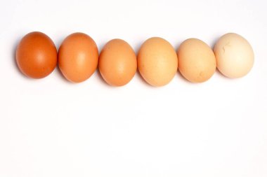 beyaz bir arka plan üzerinde farklı kahverengi ile yumurta 