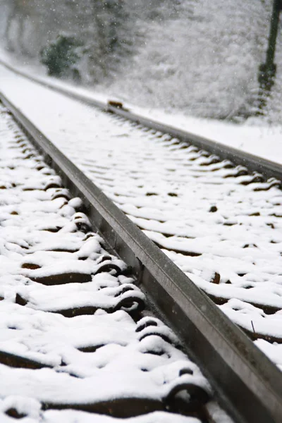 Railroad Tracks Snow — Stock Photo, Image