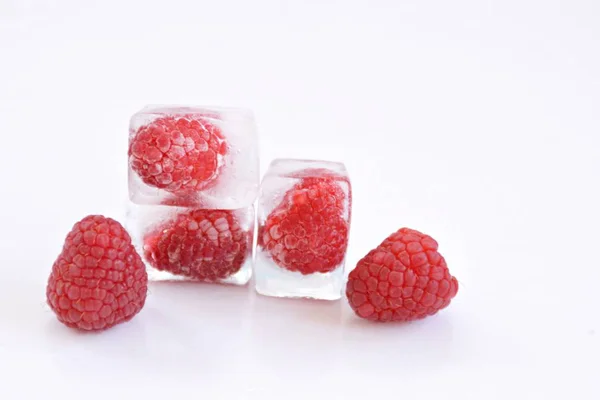 Raspberries Ice Cubes White Background — Stock Photo, Image