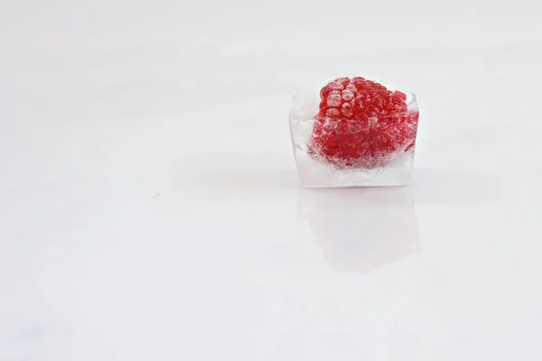 白背景的冰块中的树莓 — 图库照片