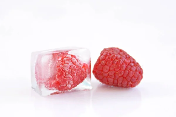 Raspberry Ice Cube White Background — Stock Photo, Image