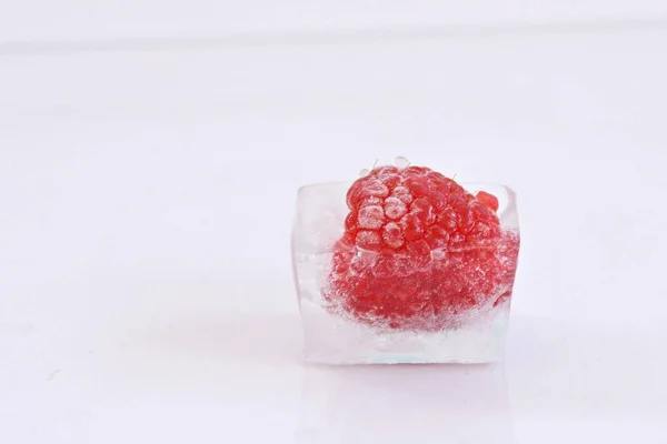白い背景に氷の立方体のラズベリー — ストック写真