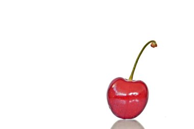 Bir sapı ile tek bir kiraz beyaz bir arka plan üzerinde yatıyor - metin veya diğer öğeler için yer ile beyaz bir arka plan önünde bir firth, nefis, sağlıklı kiraz kavramı 