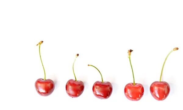 Frische Rote Kirschen Mit Grüner Lüge — Stockfoto