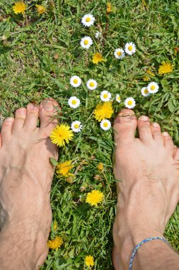 Yakın çekim - Adam bir çayırda duruyor