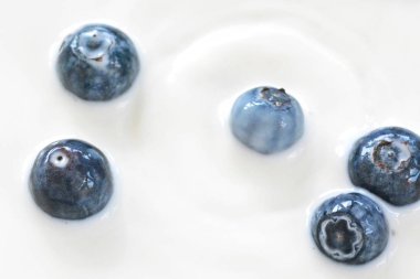 süt içine damla yaban mersini 