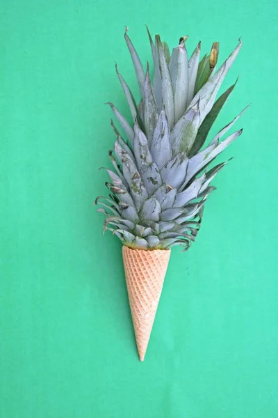 Stonek Ananasu Zmrzlině Monochromatickém Pozadí Jako Symbol Ananasové Zmrzliny Jako — Stock fotografie