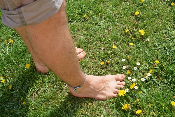 Gros Plan Homme Tient Dans Une Prairie — Photo