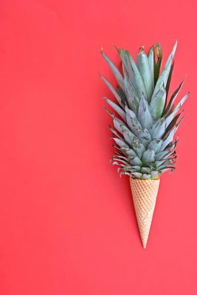 Tallo Una Piña Cono Helado Sobre Fondo Monocromo Como Símbolo — Foto de Stock