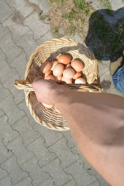 Tragen Einen Korb Voller Eier — Stockfoto