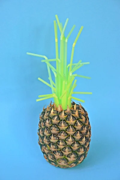菠萝的绿色被塑料吸管所取代 这个概念表明塑料在自然界中已经有多少 在单色背景下的艺术 — 图库照片