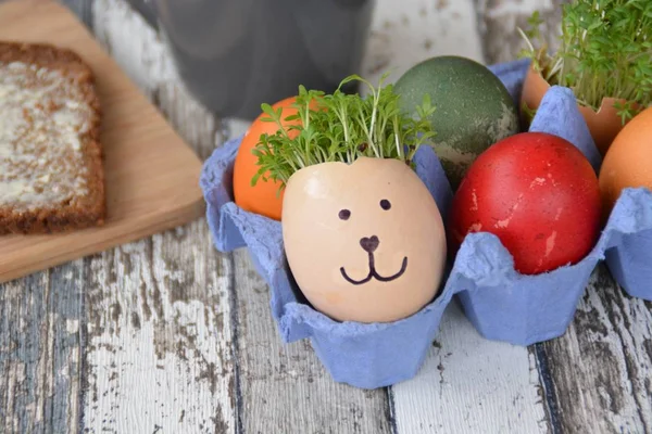 rabbit\'s face painted on egg- concept for Easter with a colorful background with space for text