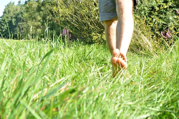 Close Sobre Pés Atravessa Caminho Seixos Floresta Relaxa Natureza Temperaturas — Fotografia de Stock