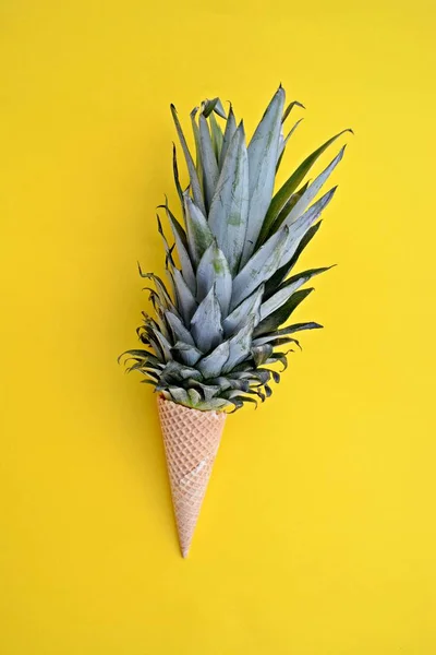 Der Stiel Einer Ananas Einem Eiszapfen Vor Einfarbigem Hintergrund Als — Stockfoto