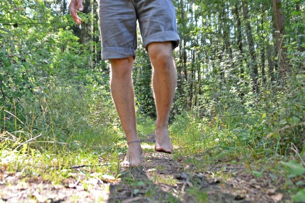 脚上的特写镜头 穿过树林中的鹅卵石小径 在夏季气温下放松大自然 — 图库照片