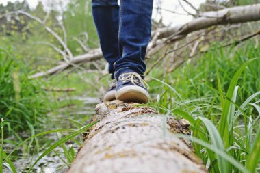 kot bacaklar yakın, doğada yürüyüş 