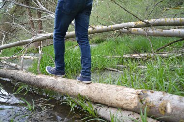 kot bacaklar yakın, doğada yürüyüş 