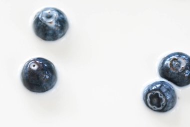 süt içine damla yaban mersini 