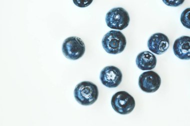 süt içine damla yaban mersini 