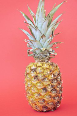 renkli arka plan karşı ananas meyve yakın çekim görünümü