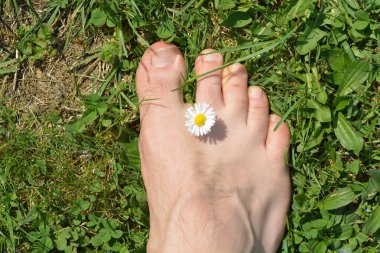 Yakın çekim - Adam bir çayırda duruyor