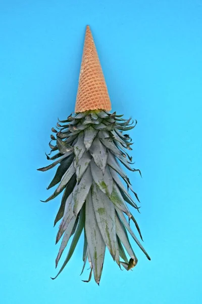 Łodyk Ananasa Lody Stożek Tle Monochromatycznym Jako Symbol Lody Ananasowe — Zdjęcie stockowe