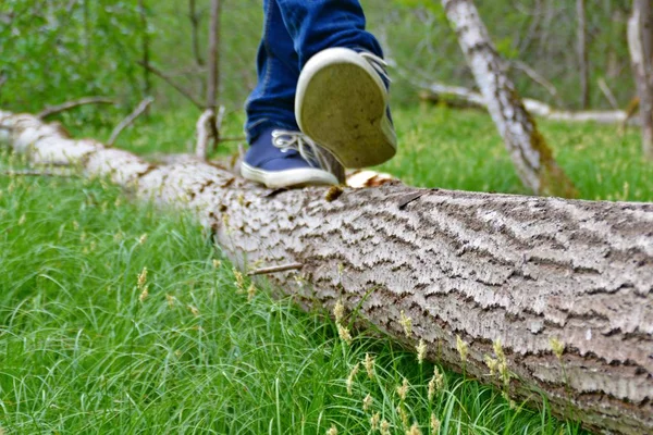 Primer Plano Piernas Jeans Caminando Naturaleza — Foto de Stock