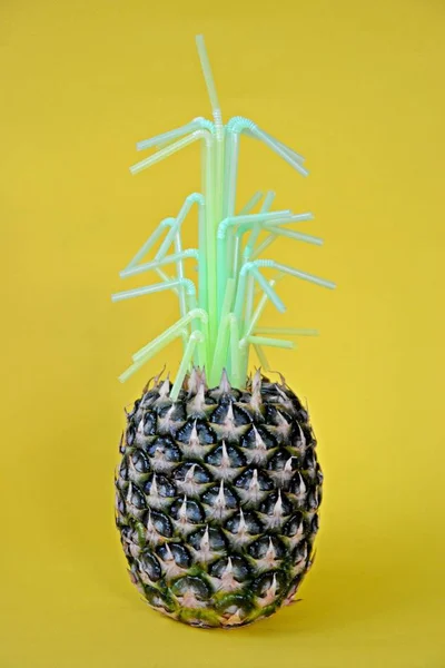 The green of the pineapple is replaced by plastic straws - a concept that shows how much plastic is already in nature - art against a monochrome background
