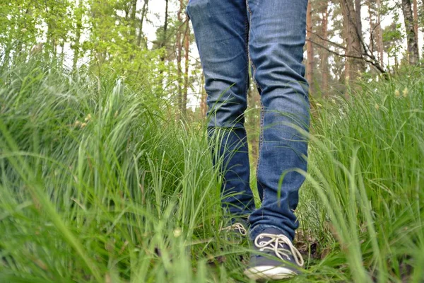 Gros Plan Des Jambes Jeans Marchant Dans Nature — Photo