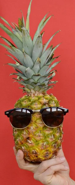 Holding Pineapple Sunglasses Hand — Stock Photo, Image