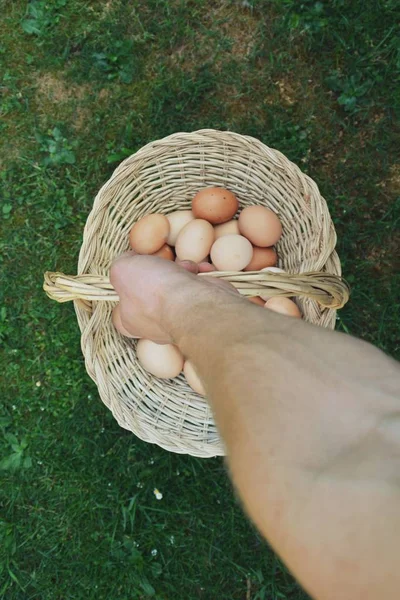 提一个装满鸡蛋的篮子 — 图库照片