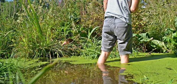 Primer Plano Los Pies Hombre Está Corriendo Verano Través Pequeño —  Fotos de Stock