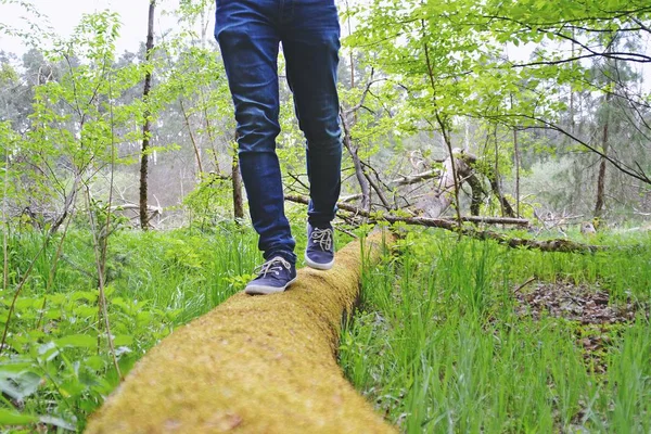 Primer Plano Piernas Jeans Caminando Naturaleza — Foto de Stock