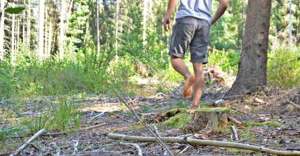 Těsné Nohou Procházky Oblázkových Pěšině Lese Relaxuje Přírodě Při Teplotách — Stock fotografie