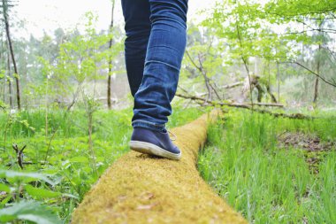 kot bacaklar yakın, doğada yürüyüş 