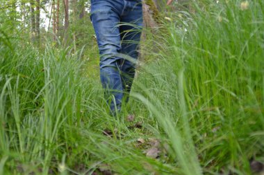 kot bacaklar yakın, doğada yürüyüş 