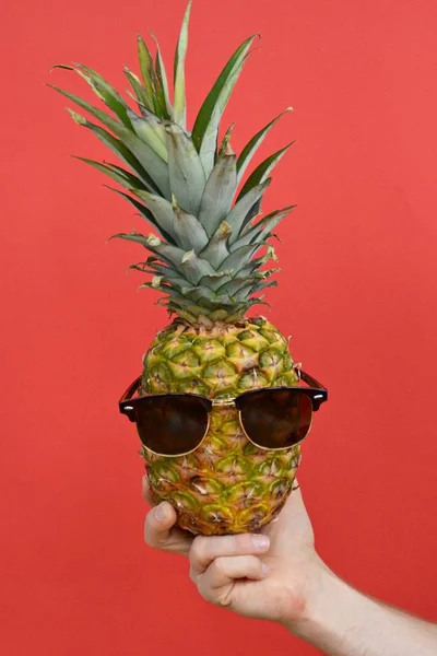 Tenendo Mano Ananas Con Gli Occhiali Sole — Foto Stock