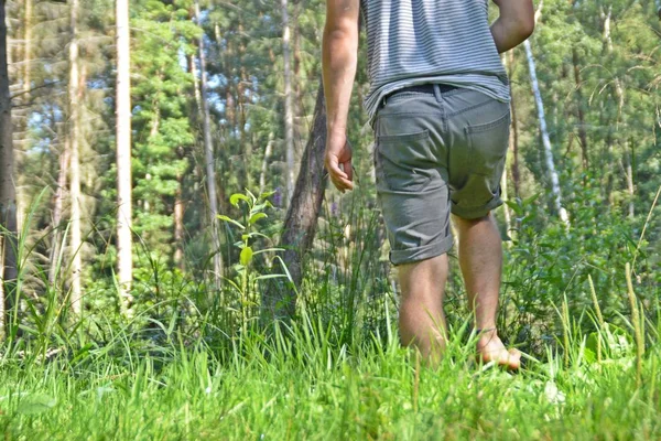 Ayaklarda Yakın Çekim Ormanda Çakıl Bir Yol Boyunca Yürür Yazlık — Stok fotoğraf