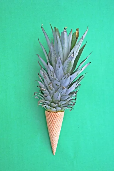 Stonek Ananasu Zmrzlině Monochromatickém Pozadí Jako Symbol Ananasové Zmrzliny Jako — Stock fotografie