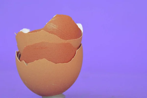 egg shell on purple background